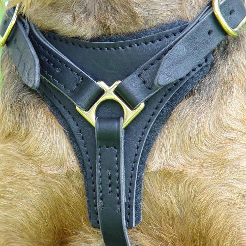 Tracking / Walking Dog Harness Made Of Leather [H3###1098 Leather Walking  Harness] : German Shepherd Harnesses,German Shepherd Muzzles,German  Shepherd Collars,Dog Leashes,German Shepherd Equipment,Prong Collars,  German Shepherd Canada Store