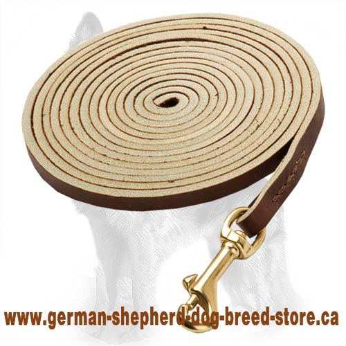 Reliable Long Tracking German-Shepherd Dog Leash