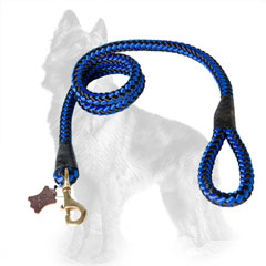 German-Shepherd Nylon Cord Dog Leash Blue