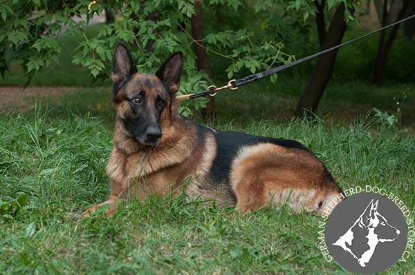 German-Shepherd leather leash with durable brass plated hardware for improved control