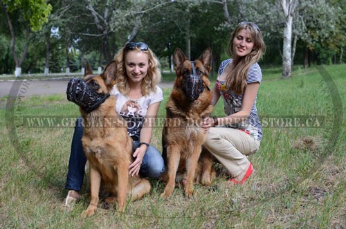 Barbed Wire Dog Muzzles on German-Shepherds