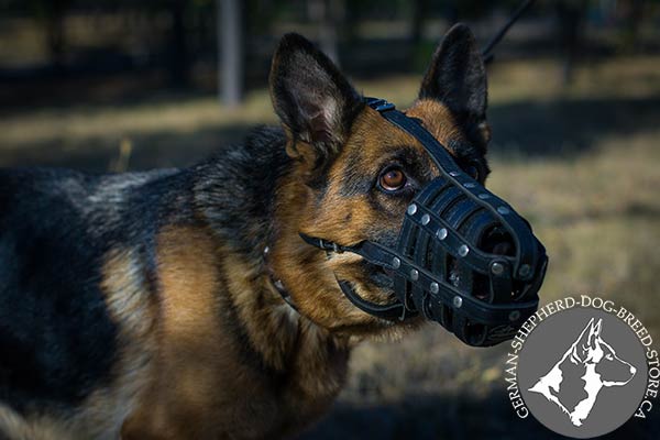 Dog-safe Leather German-Shepherd Muzzle with Nose Padding