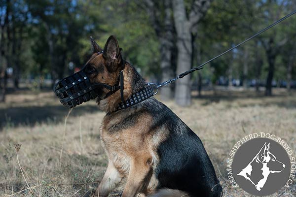 Strong Leather Dog Muzzle with Riveted for Durability Straps