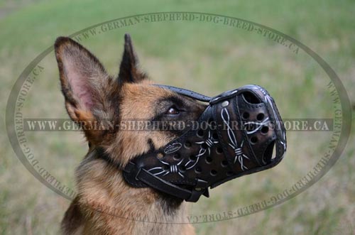 German-Shepherd Dog Muzzle Painted with Barbed Wire