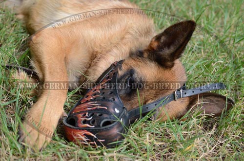 German-Shepherd Dog Muzzle Painted Leather with Fire