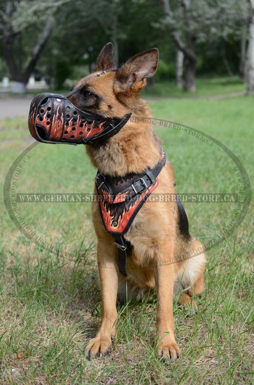 German-Shepherd Dog Supplies Decorated with Safe Non-Toxic Paints