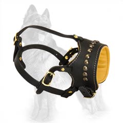 Open Nappa Padded Leather German-Shepherd Dog Muzzle  Decorated With Brass Studs