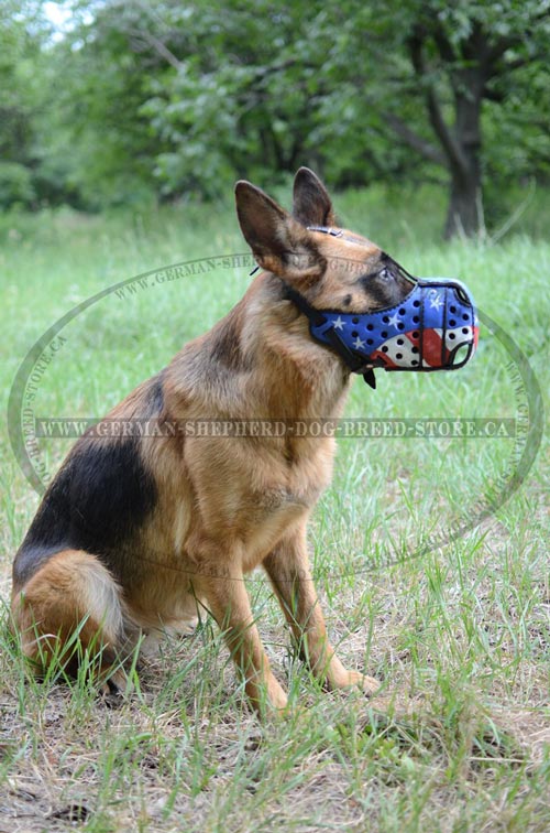 American Pride Painted German-Shepherd Muzzle