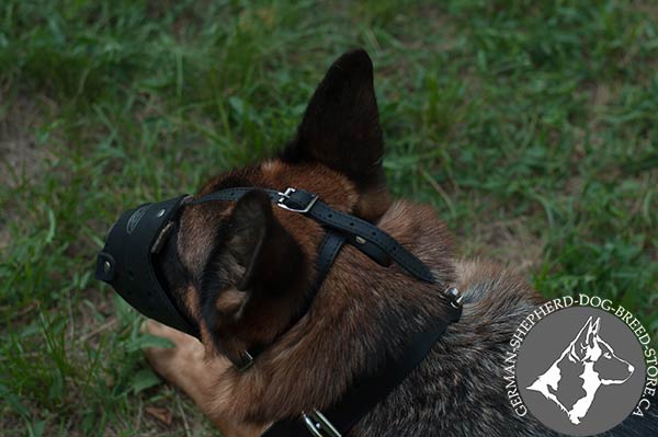 German-Shepherd leather muzzle easy-to-adjust nickel plated fittings for daily activity