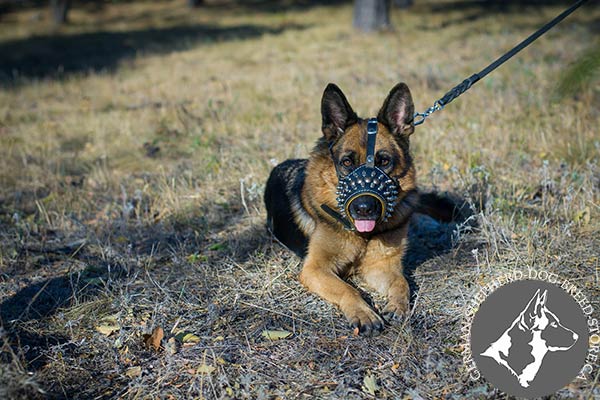 German-Shepherd leather muzzle anti-barking spiked for advanced training