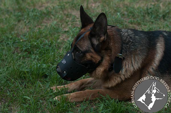 German-Shepherd leather muzzle well ventilated nickel plated hardware for basic training