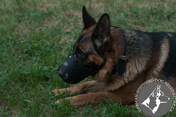 German-Shepherd leather muzzle well ventilated nickel plated hardware for basic training