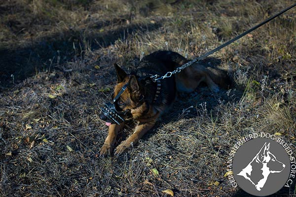 German-Shepherd leather muzzle of genuine materials adorned with spikes for walking