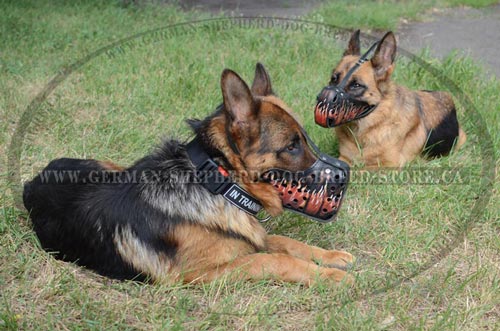 Fire Painted Dog Muzzles for German-Shepherds