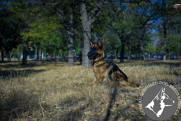 Ventilated Leather German-Shepherd Muzzle for Comfy Walking