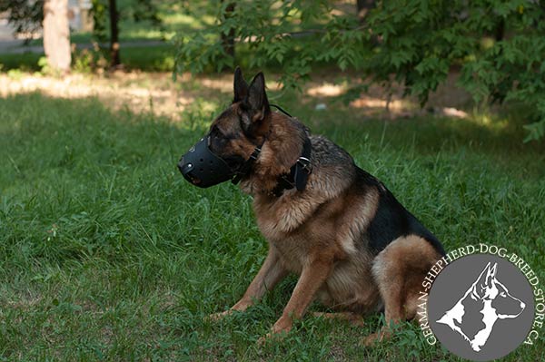 Strong German-Shepherd Muzzle for Perfect Daily Walking