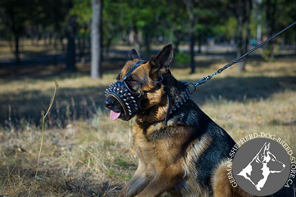 Spiked Leather German-Shepherd Muzzle in Royal Design