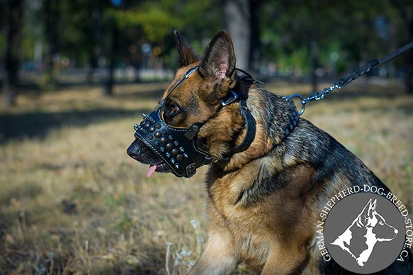 Nappa Padded Leather Dog Muzzle with Adjustable Straps