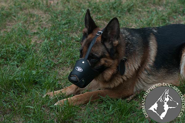 Stitched and Riveted Leather Dog Muzzle with Soft Padding