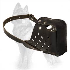 German-Shepherd Muzzle