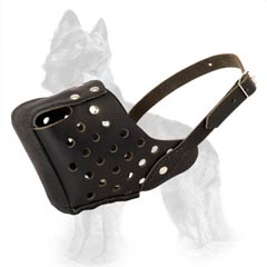 Leather Muzzle