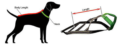 how-to-measure-harness