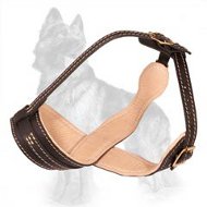 Royal Nappa Leather Dog Muzzle - German Shepherd