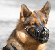 German Shepherd Everyday Light Weight Ventilation muzzle