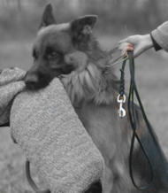 Handcrafted leather dog lead for training and tracking,walking