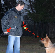 Training Dog Vest For Dog Trainers - Nylon Dog Training Vest V44