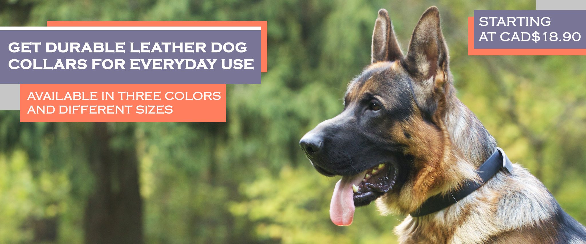 german-shepherd-harnesses-german-shepherd-muzzles-german-shepherd